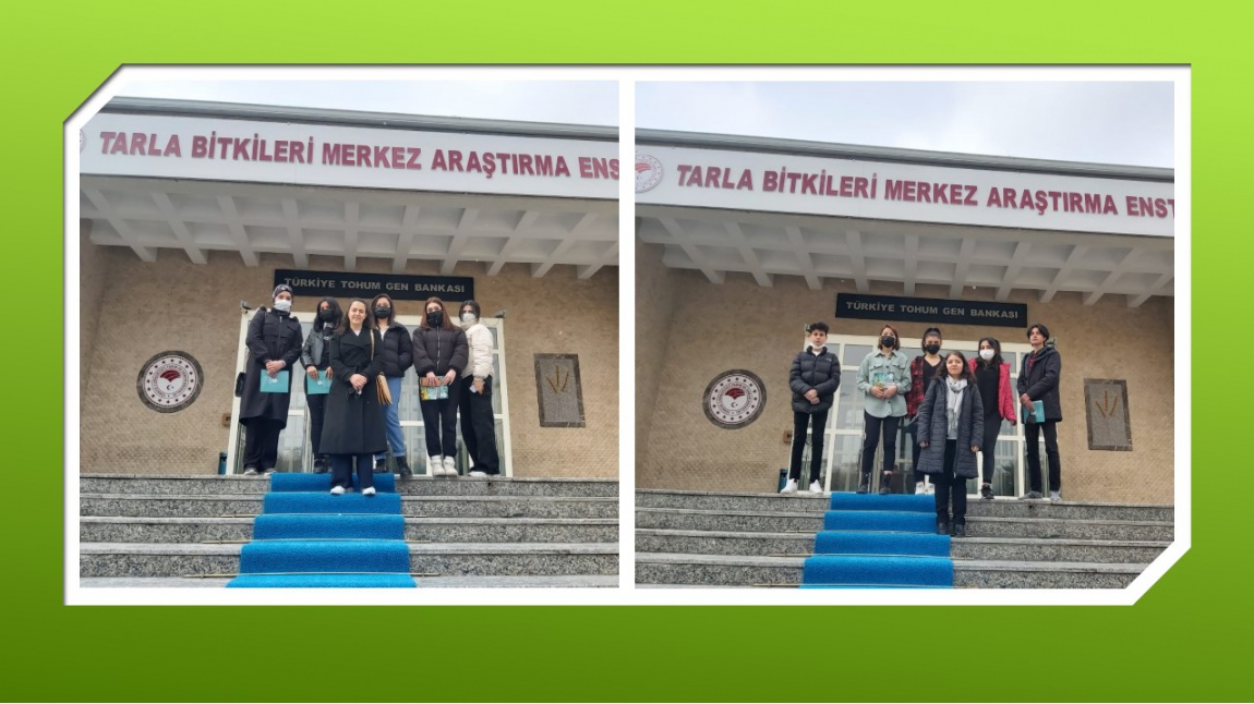 Ata Tohumu Kardeşliği e-Twinning Projesi Kapsamında Öğrencilerimizin TAGEM-Tarla Bitkileri Araştırma Enstitüsü Türkiye Gen Bankası Gezisi